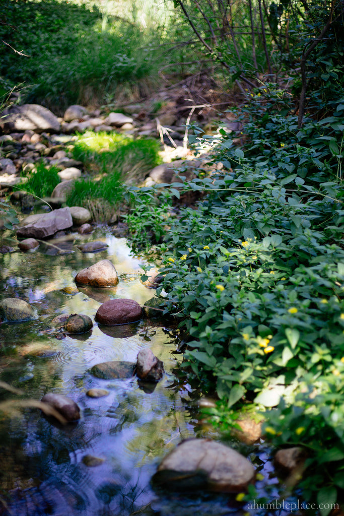 Weekend Entertainment: 7 August 2020