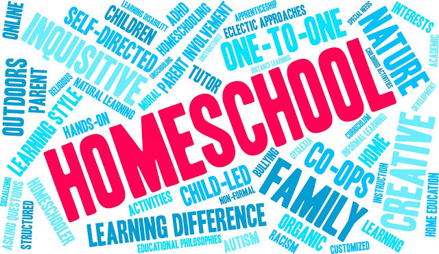 11 Terrific and Unique Benefits of Homeschooling