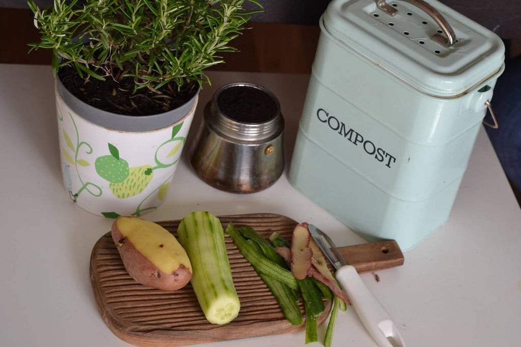 8 Ways to Practice Homesteading While Living in a City