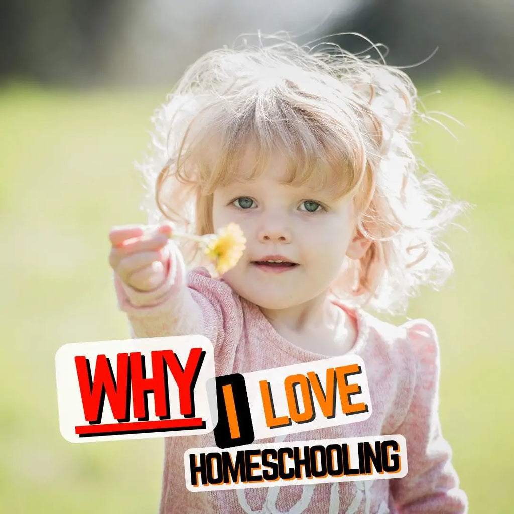 10 Reasons I Love Homeschooling (From a Homeschool Graduate)