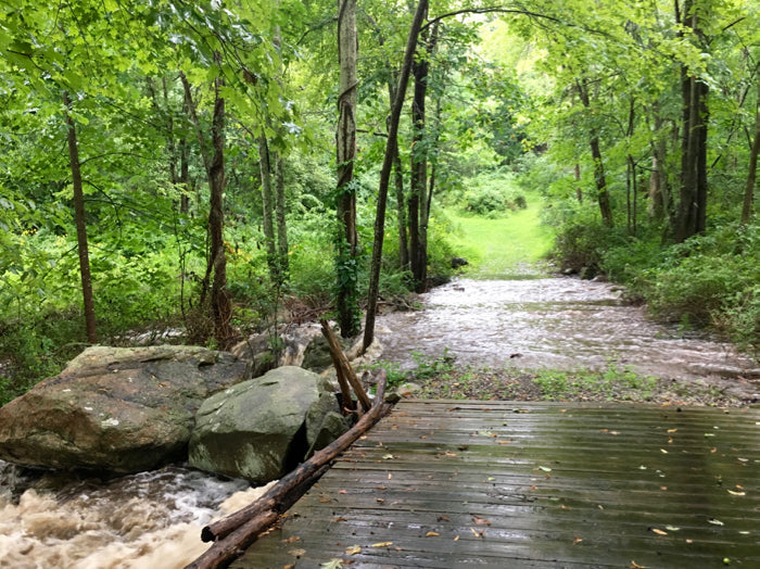 Weekend homeschool links: August 14th